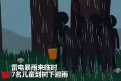 云南7名兒童上山撿菌子，樹下避雨時(shí)不幸遭雷擊[多圖]