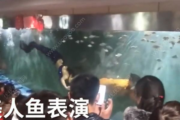 女孩海洋館扮美人魚！冬天長時間泡在水里有何危害？(1)