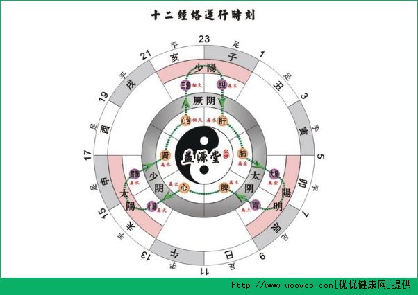 十二正經(jīng)是什么意思？十二正經(jīng)從哪里分左右?(1)