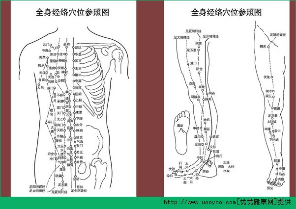 經(jīng)絡(luò)穴位怎么背？速記經(jīng)絡(luò)穴位方法(2)