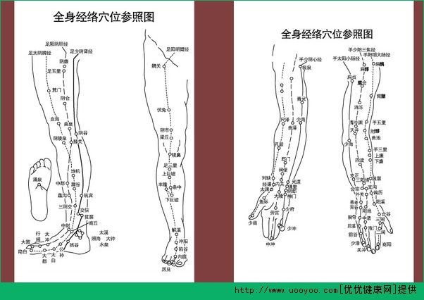 經(jīng)絡(luò)穴位怎么背？速記經(jīng)絡(luò)穴位方法(4)