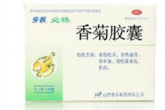 香菊膠囊的功效 香菊膠囊說(shuō)明書(shū)[圖]