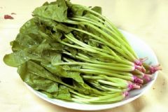 孕婦吃菠菜好嗎？吃菠菜有哪些營養(yǎng)價(jià)值？[圖]