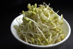 吃豆芽會(huì)胖嗎？豆芽會(huì)不會(huì)讓人長(zhǎng)胖？[多圖]