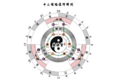 十二正經(jīng)是什么意思？十二正經(jīng)從哪里分左右?[多圖]