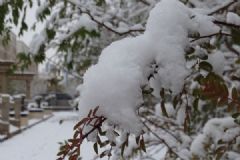 大雪節(jié)氣 記得防寒保暖和養(yǎng)生[多圖]