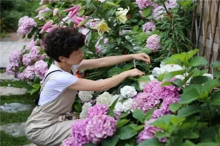 愛養(yǎng)花的女人