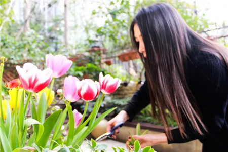 愛養(yǎng)花的女人