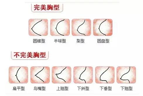 14歲女生的胸是怎么樣的？14歲女孩健康正常的胸長什么樣？[圖]