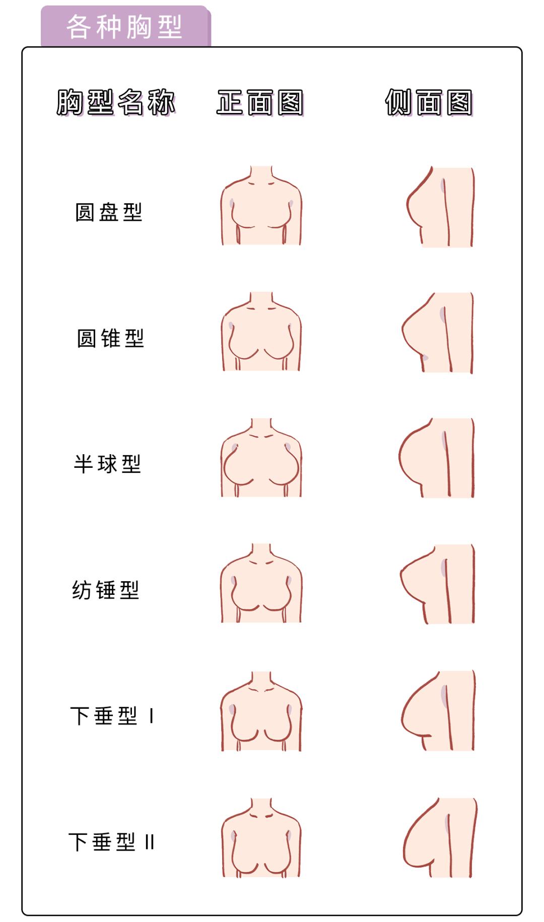 女人的胸長(zhǎng)什么樣子？女人的胸是什么樣的？[圖]