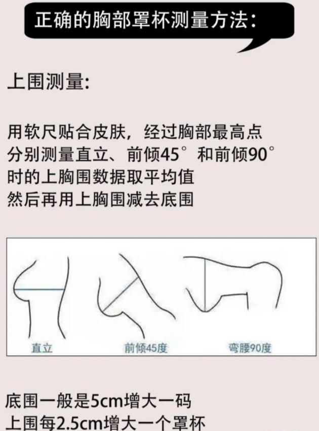 初二女生的罩罩是什么樣？初二女生的胸衣是什么樣的？[圖]