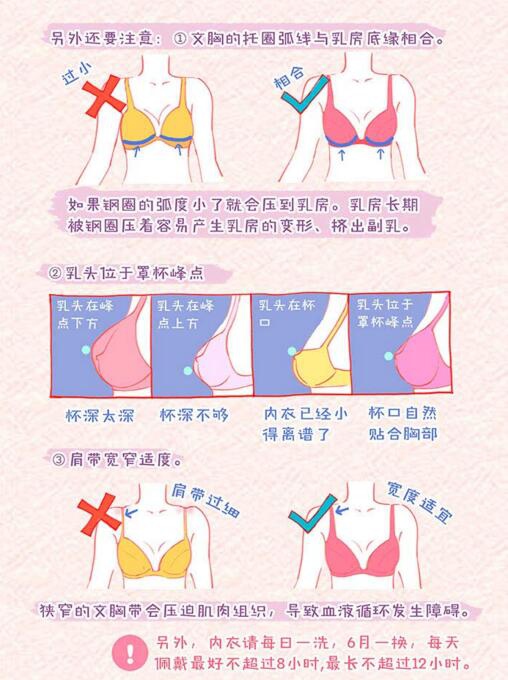 初二女生的罩罩是什么樣？初二女生的胸衣是什么樣的？[圖]