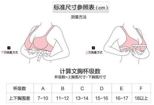 胸圍80c是多大？胸圍80c是多少厘米尺碼對照表？[多圖]