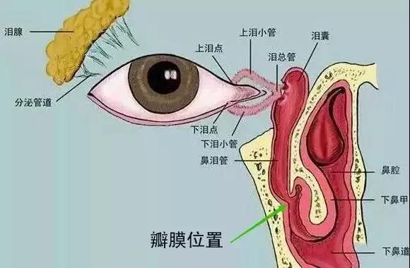 合肥愛爾眼科：什么是淚道疾??？如何預(yù)防