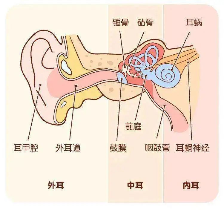 成都民生耳鼻喉醫(yī)院怎么樣 突發(fā)性耳聾能治好嗎 國家三級醫(yī)院