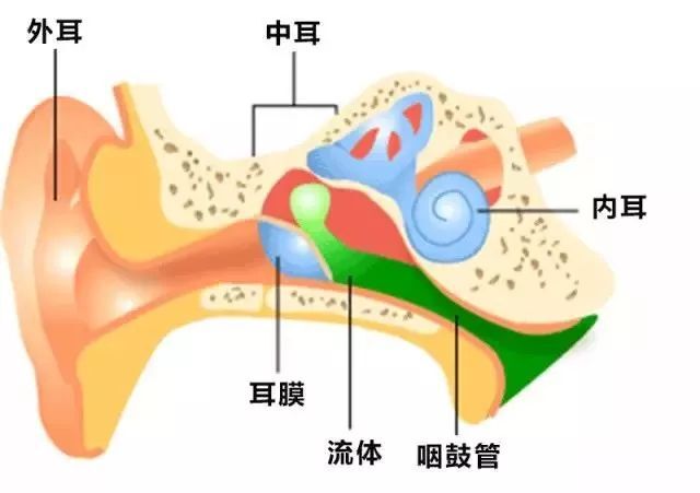 哪些原因可能導致中耳炎？中耳炎有哪些危害？武漢民生耳鼻喉醫(yī)院就耳鼻喉的話題在線解答