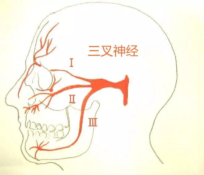  暨南大學(xué)崇愛(ài)醫(yī)院怎么樣，居劍鋒談三叉神經(jīng)痛治療