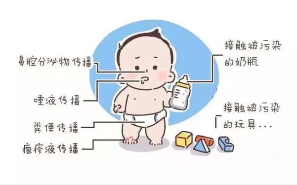 手足口病靠什么傳播途徑？手足口病怎樣預防？