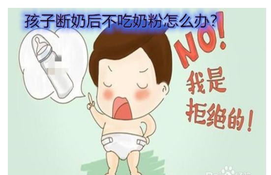 寶寶戒奶不喝奶粉怎么辦？接近母乳的奶粉有哪些？