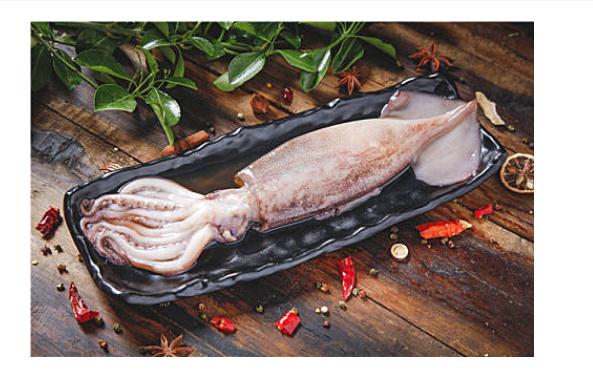 魷魚(yú)都有什么功效與作用？食用魷魚(yú)的禁忌有哪些？