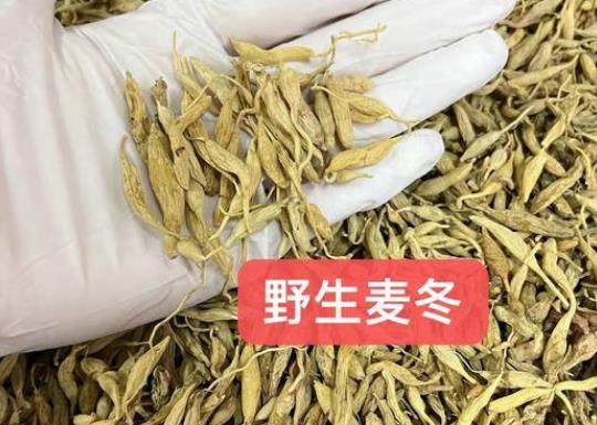 麥冬對肝臟有損害作用嗎 過量代謝不及時致功能受損