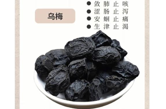 烏梅的藥理作用有哪些？吃烏梅有什么禁忌？