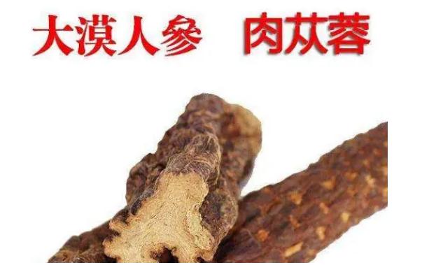 肉蓯蓉保質(zhì)期多久？新鮮肉蓯蓉怎樣清洗？