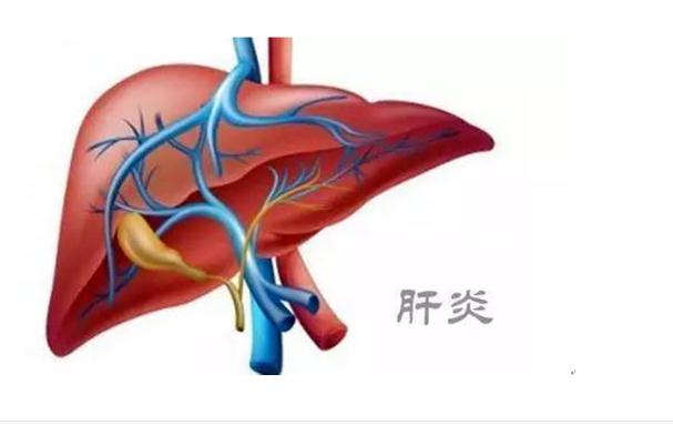 乙肝疫苗可以預(yù)防肝癌嗎？肝癌是怎么造成的呢？