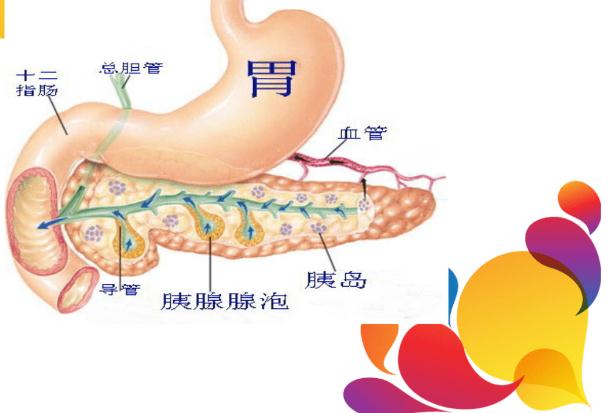 胰腺癌的癥狀有什么呢？胰腺癌造成的原因有什么呢？