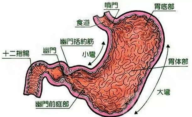 胃潰瘍怕冷嗎 胃潰瘍有哪些癥狀