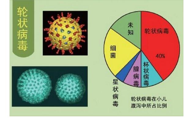 輪狀病毒發(fā)病有哪些特點？感染輪狀病毒后可以吃什么？