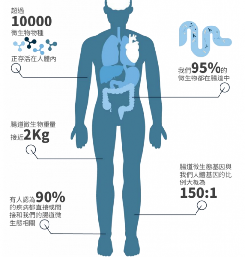 濕敏又有了新希望，PGut讓百億“益生菌”為你打工！