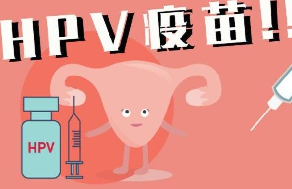 九價(jià)hpv疫苗可以用醫(yī)保嗎 九價(jià)hpv疫苗多少錢(qián)