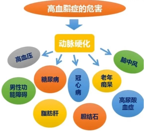 了解立普妥阿托伐他汀的副作用有哪些，科學(xué)用藥、高效降脂更安全