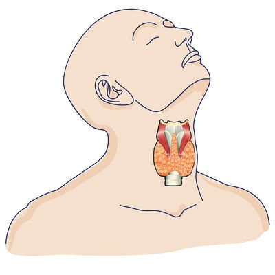 守護(hù)“蝴蝶”健康,從了解開始:成都醫(yī)附大甲狀腺醫(yī)院羅勇主任科普甲狀腺疾病知識(shí)